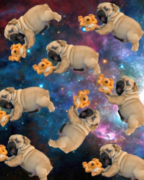 galaxy-pugs